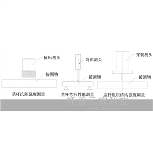 植物莖稈強(qiáng)度測定儀