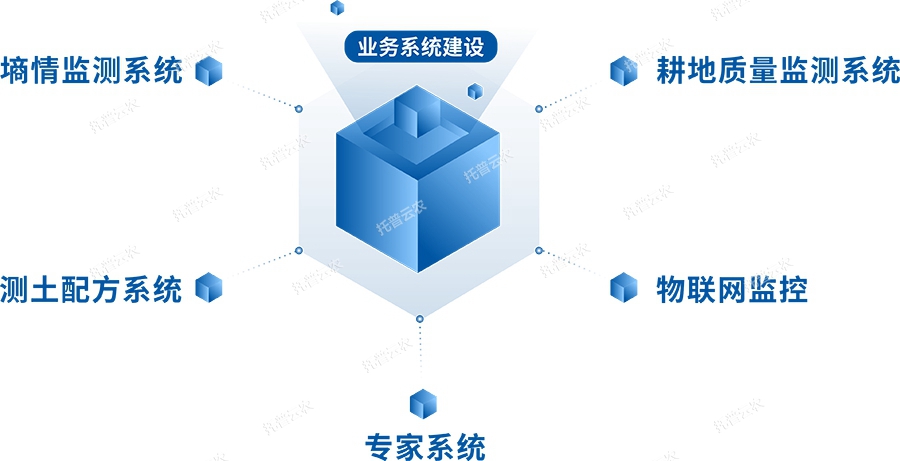 業(yè)務系統(tǒng)建設