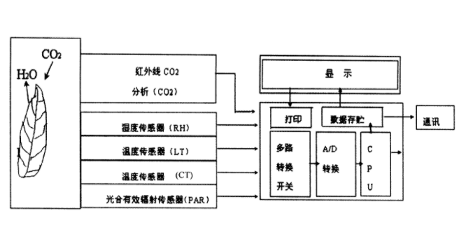 光合作用測(cè)定儀原理圖