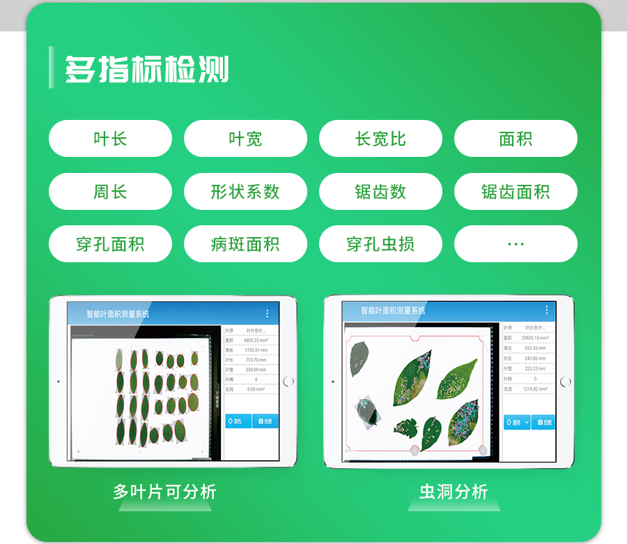 智能葉面積測(cè)量系統(tǒng)