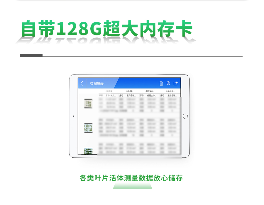 智能葉面積測(cè)量系統(tǒng)