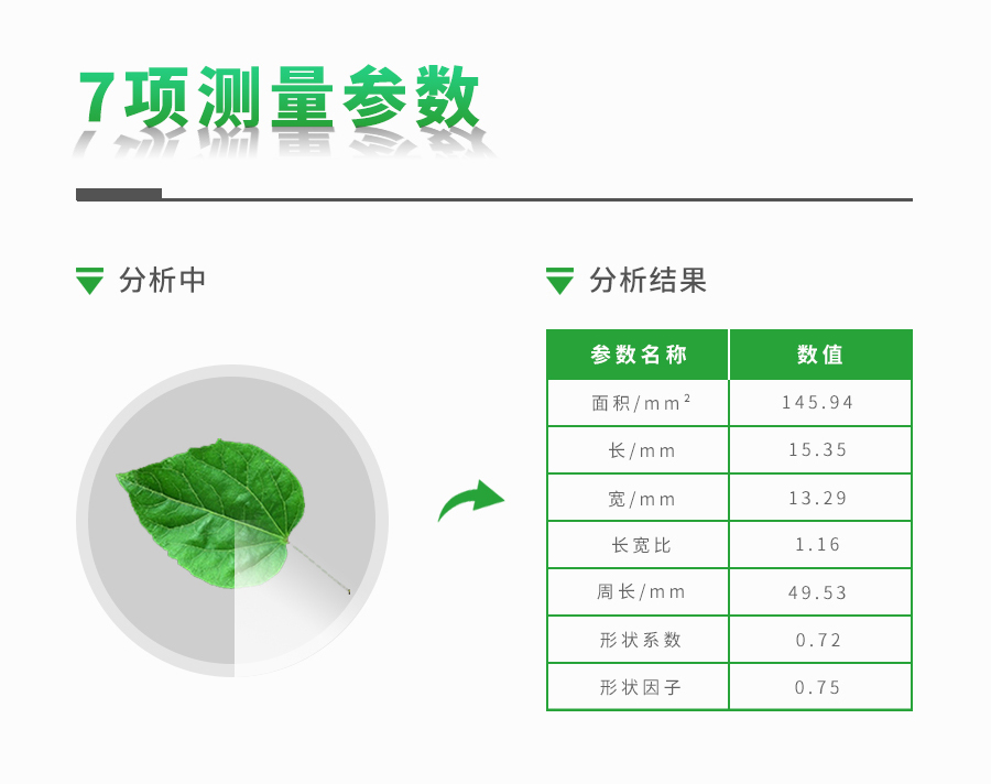 活體葉面積測(cè)定儀