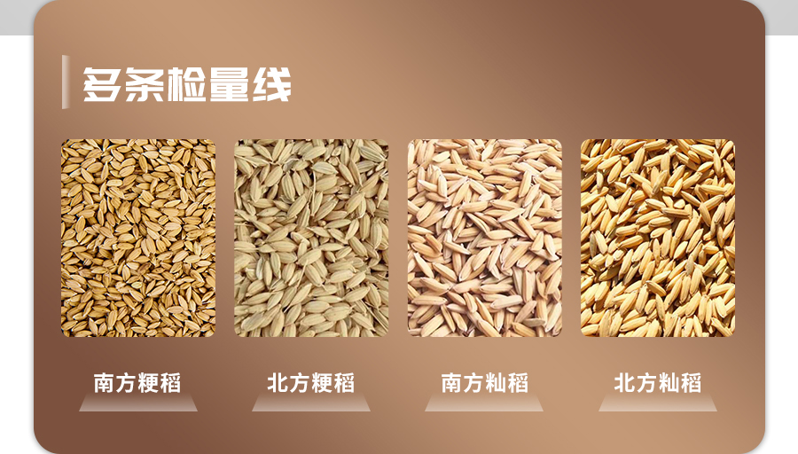 稻谷新鮮度測(cè)定儀