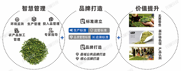 品牌建設